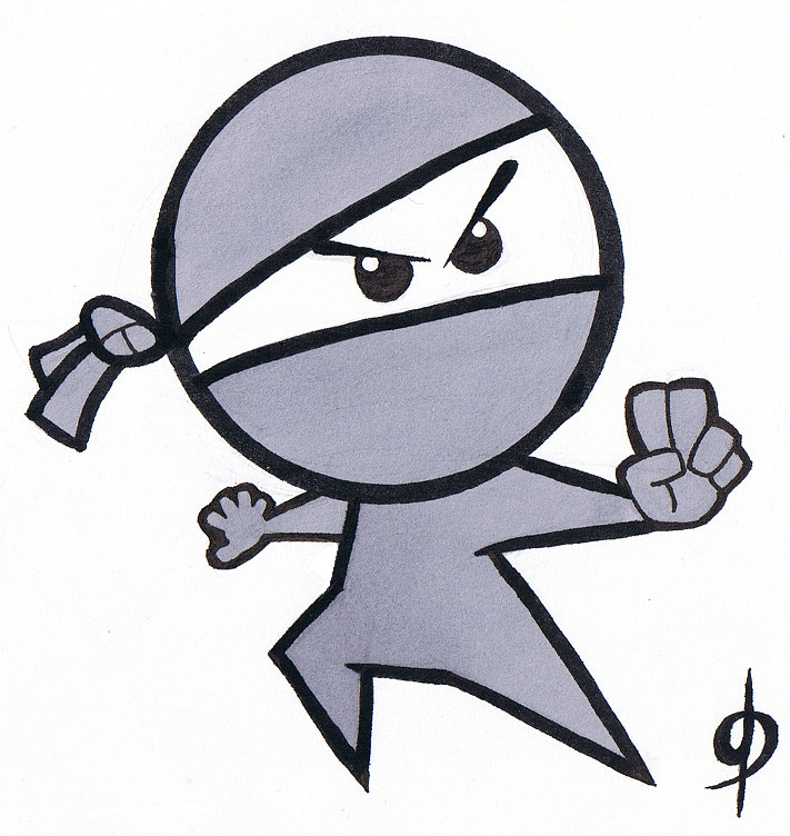 A.E.Ninja is a class that combines , Gymnastics, Obstacle Training, and Free Running.